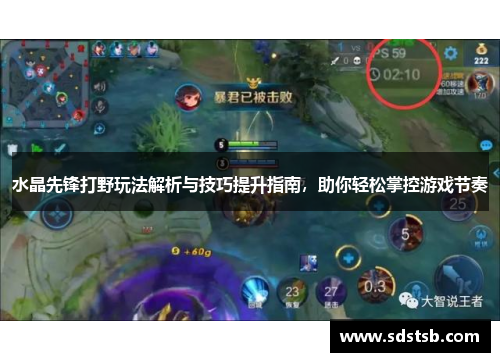 水晶先锋打野玩法解析与技巧提升指南，助你轻松掌控游戏节奏